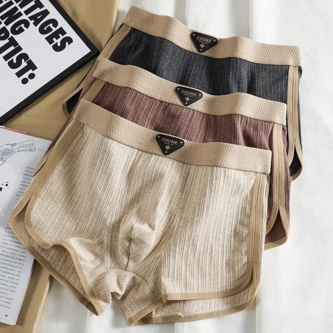 Benson | Herren Baumwoll-Slips – gerippt – Netzschritt – Komfortbund – unterstützende Passform Hirschfeld Wüstendämmerung Set XS 