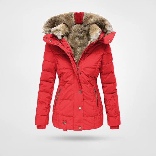 Agnes | Damen Winterjacke mit Kapuze – hochschließender Kragen – warm gefüttert (Fleece) – windabweisend csvnovember Hirschfeld Rot S 